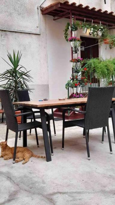 Vintage Pula Apartment Bagian luar foto